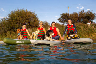 Pups on SUPS Action Watersports