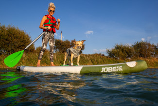 Dog Love Paddleboarding at Action Watersports
