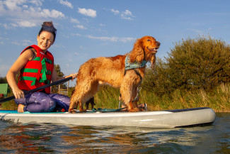 Paddle Board with your dog