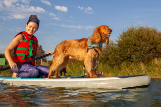 Paddle Board with your dog Action Watersports