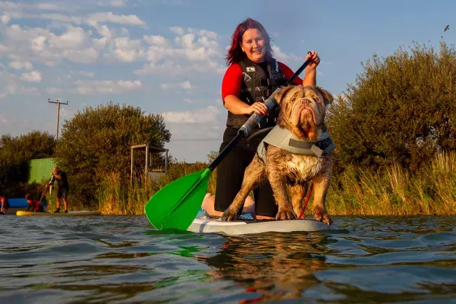 Pups On SUPs Dog Friendly Action Watersports